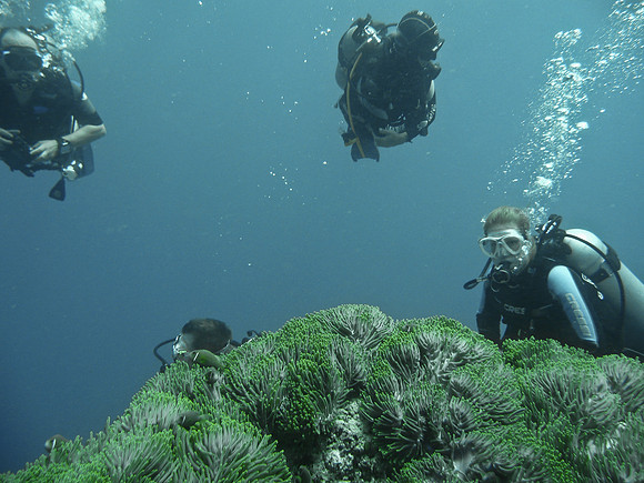 Mal-Dives-45