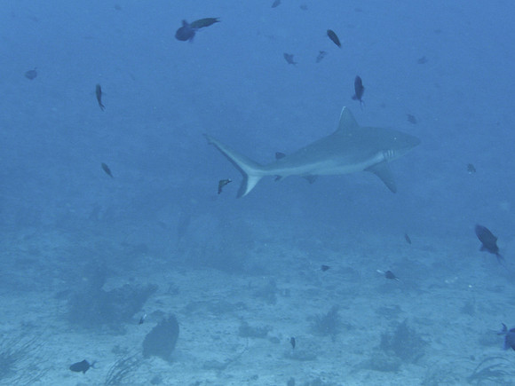 Mal-Dives-24