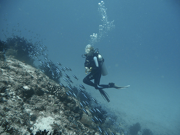 Mal-Dives-38