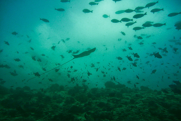 Mal-Dives-100