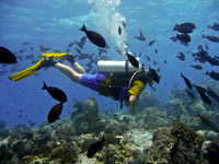 Mal-Dives-13