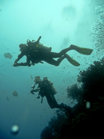 Mal-Dives