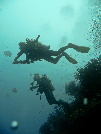 Mal-Dives
