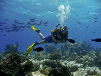 Mal-Dives-14