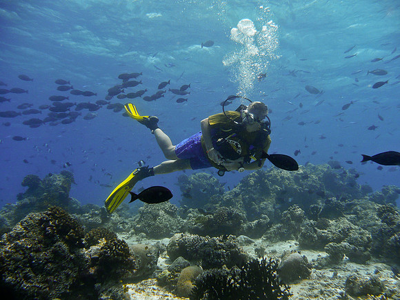 Mal-Dives-14