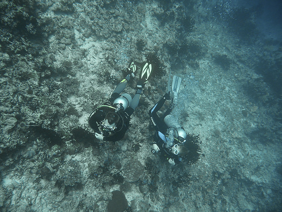 Mal-Dives-43
