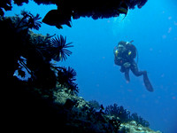Mal-Dives-8