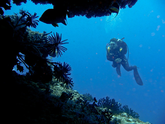 Mal-Dives-8