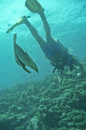 Mal-Dives-63