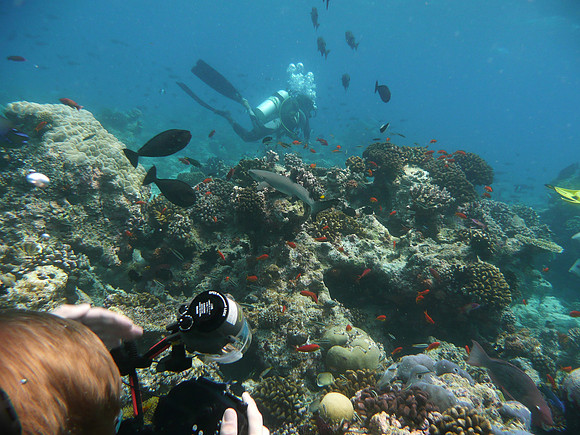 Mal-Dives-17