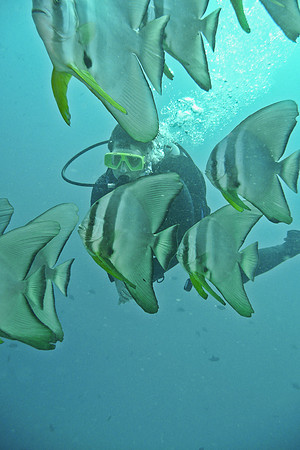 Mal-Dives-60