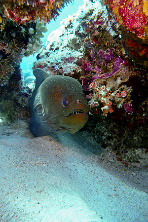 Mal-Dives-112